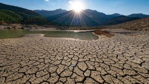 تالاب انزلی، عملاً در مسیر نابودی