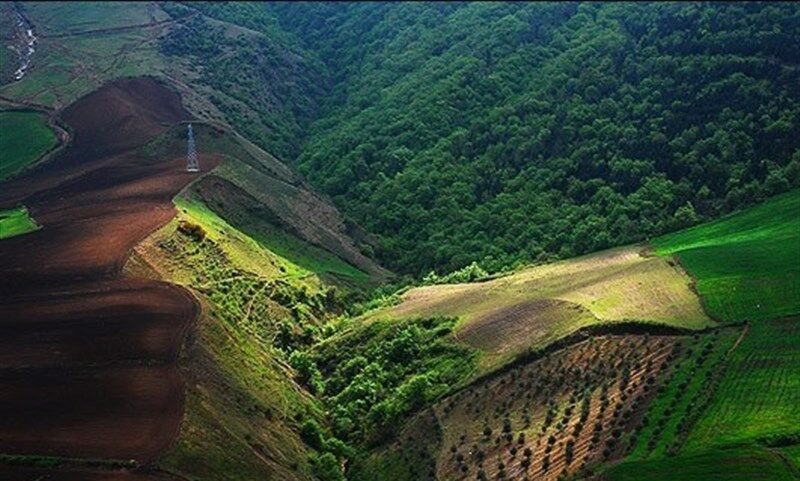آتشسوزی جنگلهای هیرکانی مازندران هنوز مهار نشده