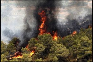 آخرین وضعیت آتشسوزی جنگلهای هیرکانی و اما وجود ۴نقطه بحرانی درشرق گلستان