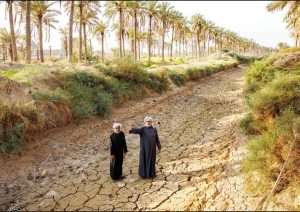خشکسالی؛ از فاجعه تا امید تراژیک