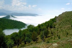 سند جنگلداری زاگرس و بیاطلاعی کارشناسان و اما و اگرها از آن