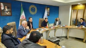 نشست اعضای حزب خدمتگزاران مستقل ایران اسلامی با معاون سیاسی وزیر کشور