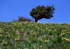 روز جهانی زمین و یک یادآوری به مناسبت آن