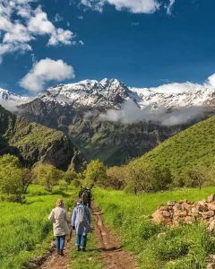 تهدید انحلال کمیته ملی طبیعتگردی؛ هشدار فعالان محیطزیست درباره فرجام حکمرانی گردشگری پایدار