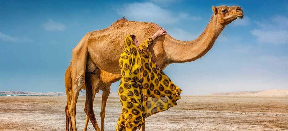 علت اصلی بحران گردشگری ایران؛ جنگ، تورم یا سوءمدیریت؟